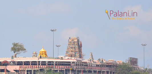 palani temple kumbaabishekam